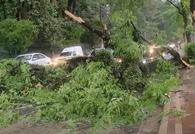 Imagem da noticia Distribuidora de energia paulista será investigada por suposta omissão
