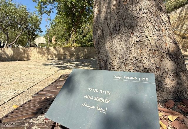 Imagem da noticia Relatos de Israel: “Uma árvore em forma de homenagem”