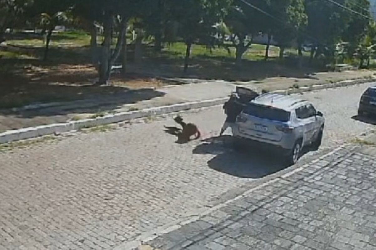 Imagem da noticia Mulher é arremessada de carro durante assalto na Zona Sul de Natal