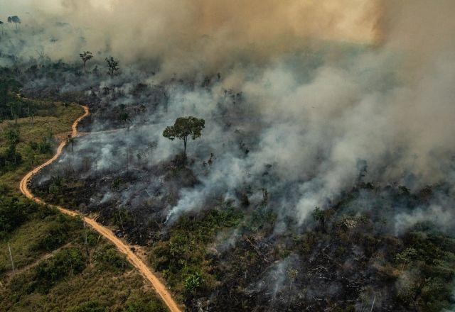 Desmatamento na Amazônia já chega a quase 8 mil km² em 2022