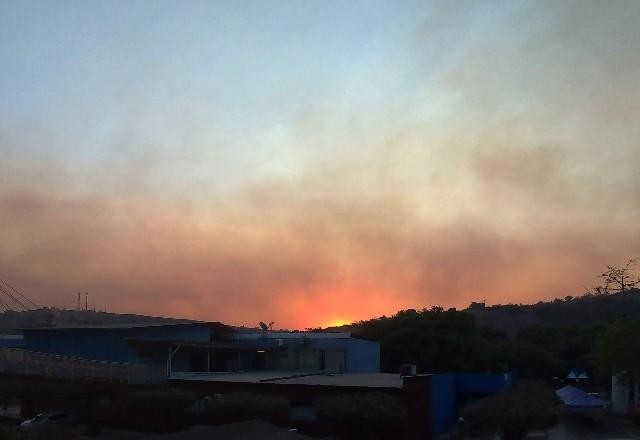Imagem da noticia 99% da população mundial respira ar poluído, segundo a OMS