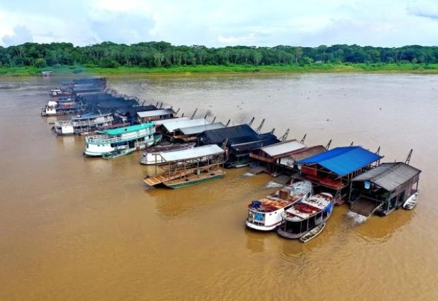 Imagem da noticia Extrato de planta pode substituir mercúrio no garimpo do ouro, diz estudo