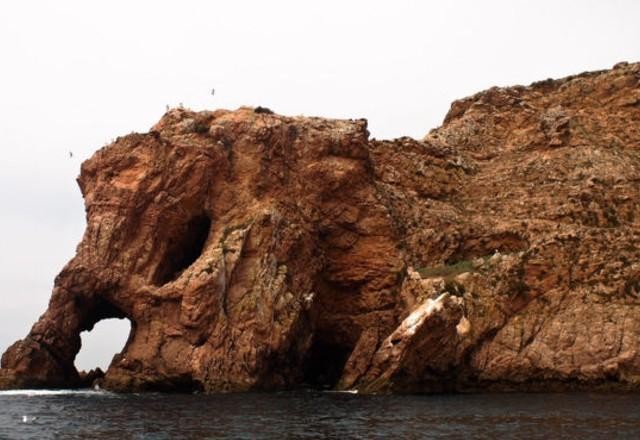 Imagem da noticia Ilhas Berlengas: de esconderijo de piratas a destino turístico em Portugal