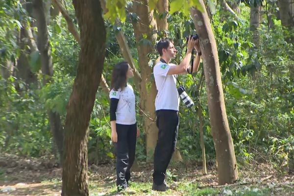 Biólogos vão percorrer o mundo para divulgar a importância da preservação ambiental