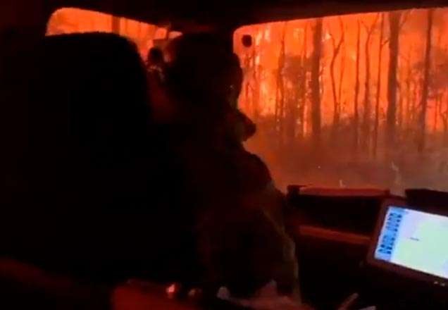 Bombeiros são engolidos por fogo dentro de caminhão durante incêndio na Austrália