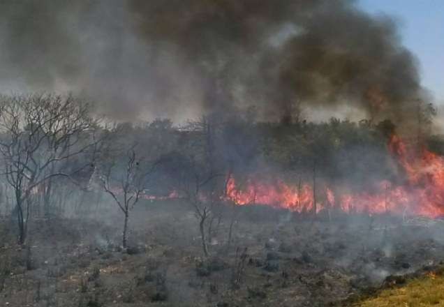Brasil já acumula 2.600 focos de incêndios florestais
