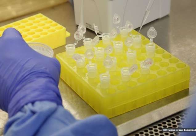 Imagem da noticia Brasil sobe para 11.130 casos confirmados de coronavírus e 486 mortes