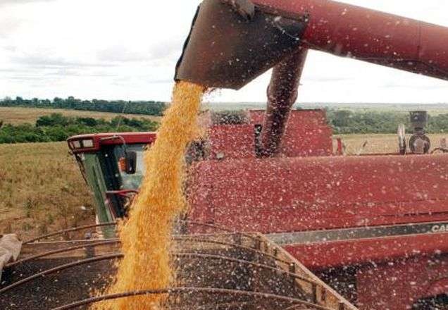 Imagem da noticia Brasil supera EUA e volta a ser maior produtor de soja do mundo