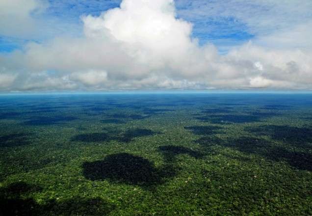 Imagem da noticia Brasil tem primeiro indígena infectado por coronavírus