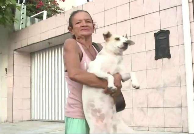 Cachorra é encontrada após ajudar dona que foi agredida no Ceará