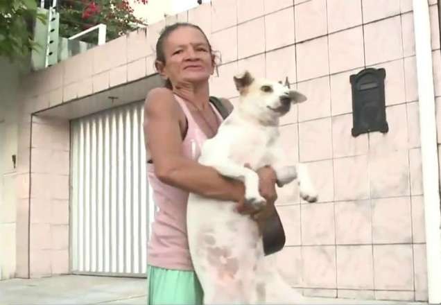 Imagem da noticia Cachorra é encontrada após ajudar dona que foi agredida no Ceará