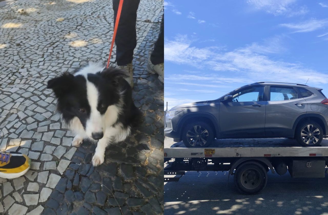 Imagem da noticia Cachorro é resgatado após ser abandonado dentro de carro em Copacabana