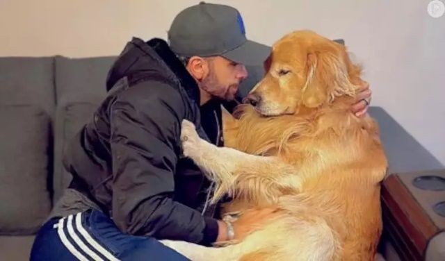 Imagem da noticia Caso cachorro Joca: deputado apresenta projeto para garantir bem-estar de animais em voos