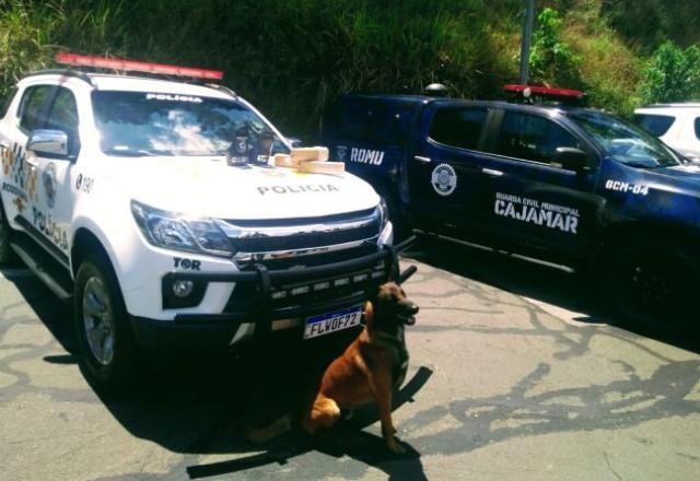 Cão da polícia encontra drogas em bicho de pelúcia em São Paulo; vídeo