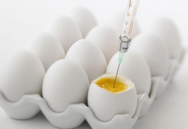 Imagem da noticia Entenda a importância do ovo na produção de vacinas