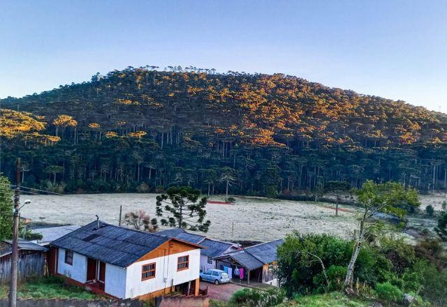 Imagem da noticia Serra Catarinense amanhece com temperaturas baixas e formação de geada