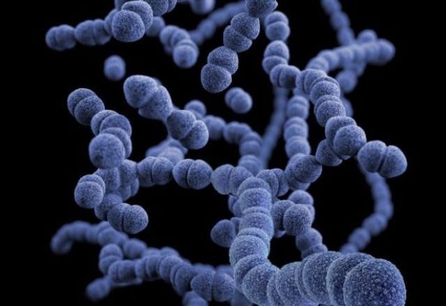 Imagem da noticia Superfungo: Anvisa confirma segunda infecção por Candida auris