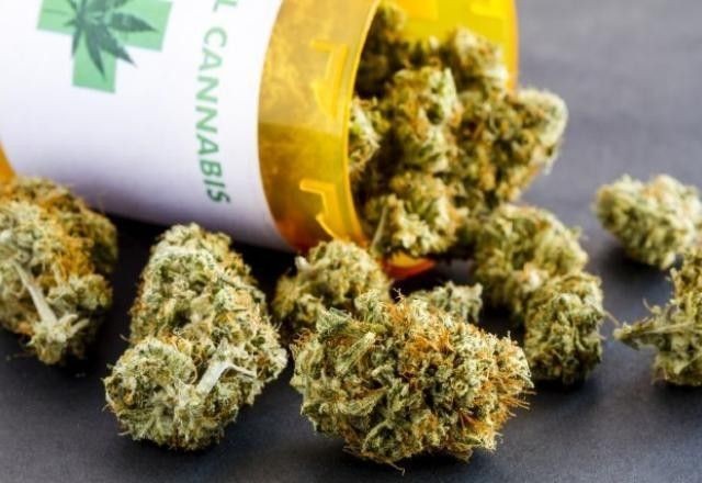 Imagem da noticia Justiça autoriza uso medicinal de flor de cannabis para associação na Paraíba