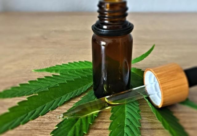 Imagem da noticia Presidente da Câmara quer votar PL da maconha medicinal no ano que vem