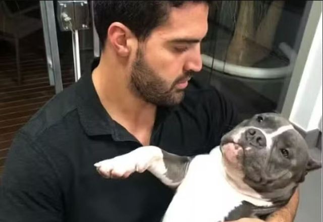 Imagem da noticia Justiça de SP amplia indenização da LATAM a casal que teve cão morto durante voo da companhia