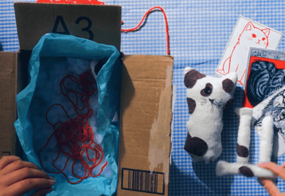 Casos de maus-tratos a animais na internet crescem 120% e expõem submundo digital