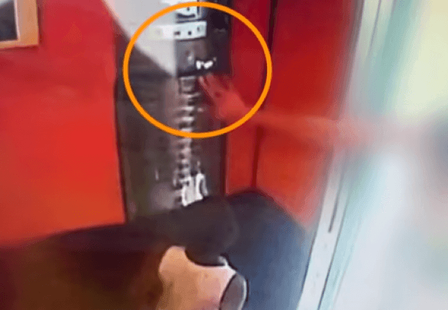 Imagem da noticia Caso Miguel: Sari Corte Real é indiciada por abandono de incapaz
