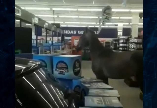 Cavalo passeia em supermercado no interior de SP
