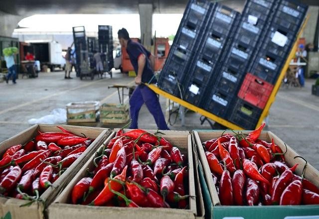 Imagem da noticia Conab diz que frutas registram queda de preços; confira lista