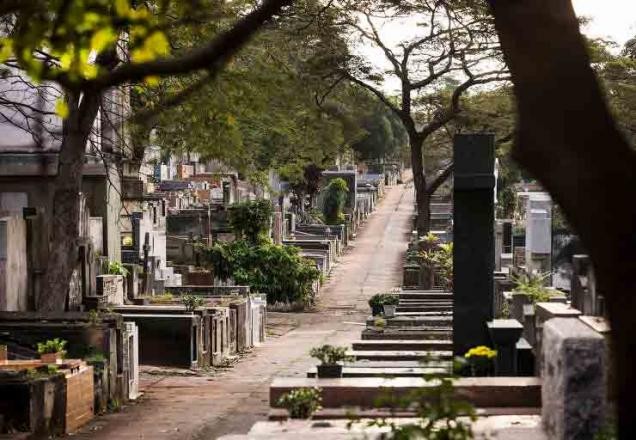 Imagem da noticia 15 pessoas são denunciadas por venda ilegal de túmulos no Paraná