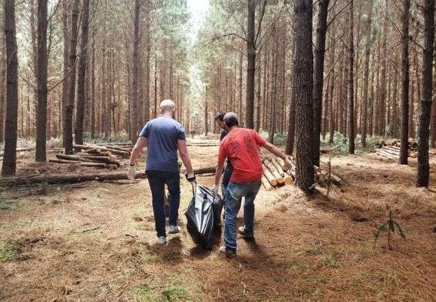Imagem da noticia Chamado de "corno", homem mata colega de trabalho a golpes de motosserra
