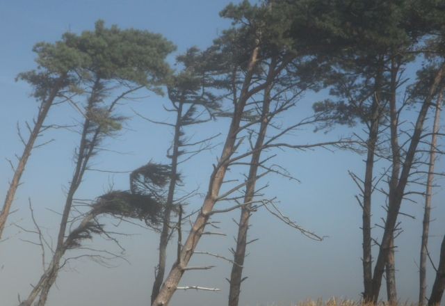 Imagem da noticia Ciclone extratropical provoca ventos de até 80 km/h e ondas de seis metros em SC