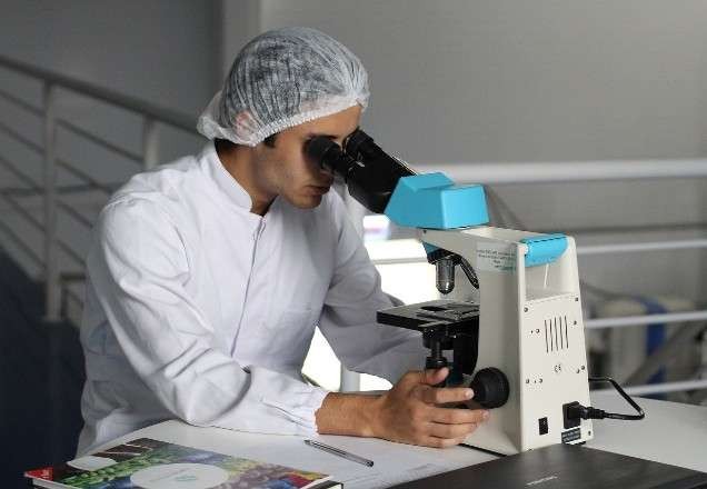 Imagem da noticia Cientistas brasileiros descobrem efeito do zika vírus no cérebro de bebês