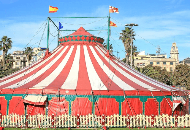Imagem da noticia Circo passa a ser reconhecido por lei como manifestação da cultura brasileira