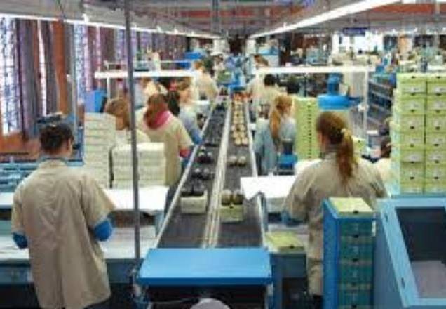 Comércio e indústria se recuperam "além do esperado", diz IPEA 