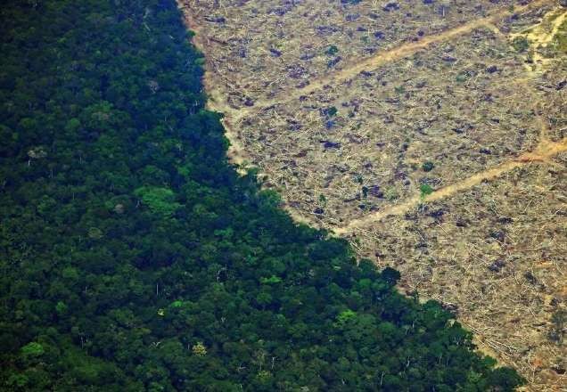 Imagem da noticia Coordenadora do Inpe é exonerada após recorde de alertas de desmatamento na Amazônia
