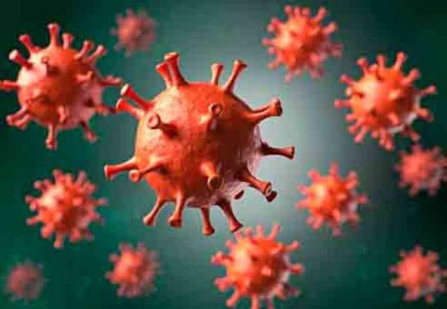 Imagem da noticia Sangue tipo O pode reduzir riscos de contaminação por Covid-19