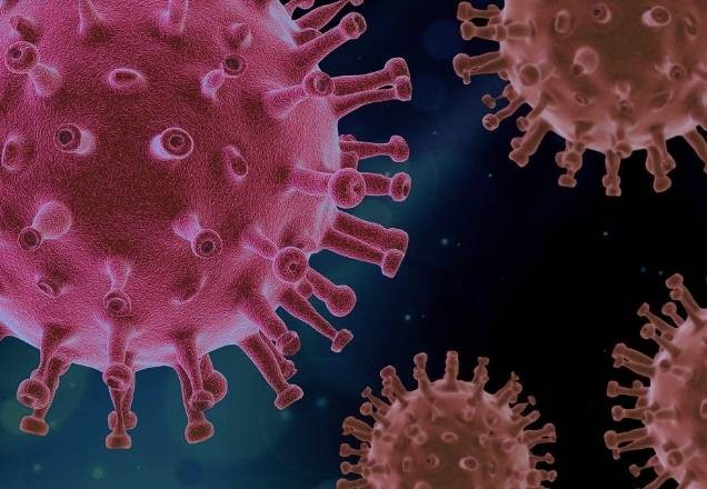 Covid-19: estudo mostra que vírus pode permanecer no corpo por 30 dias
