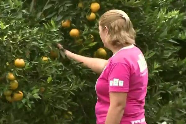 Imagem da noticia Cresce o número de mulheres à frente de propriedades rurais no país
