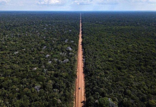 Imagem da noticia Estradas cortam ou se aproximam de 41% da área de floresta na Amazônia