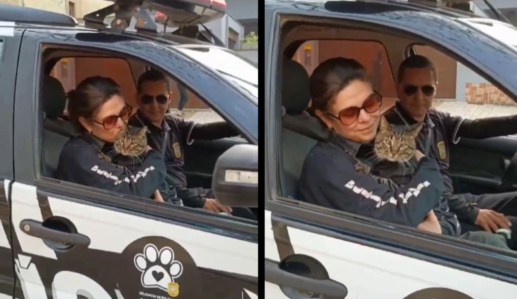 Imagem da noticia 'Delegato': Em defesa dos animais, Polícia Civil desfila com felino fardado no RS