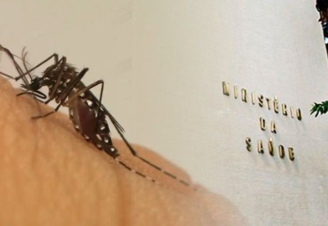 Imagem da noticia Autoridades sanitárias investigam quase mil mortes por dengue no Brasil