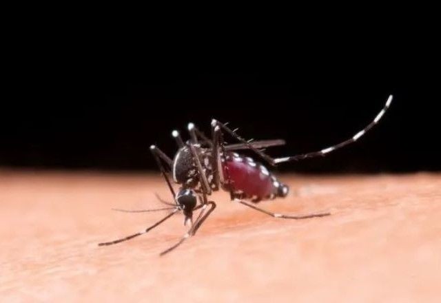 Imagem da noticia Rio de Janeiro confirma primeiro caso de dengue tipo 3 em 2025