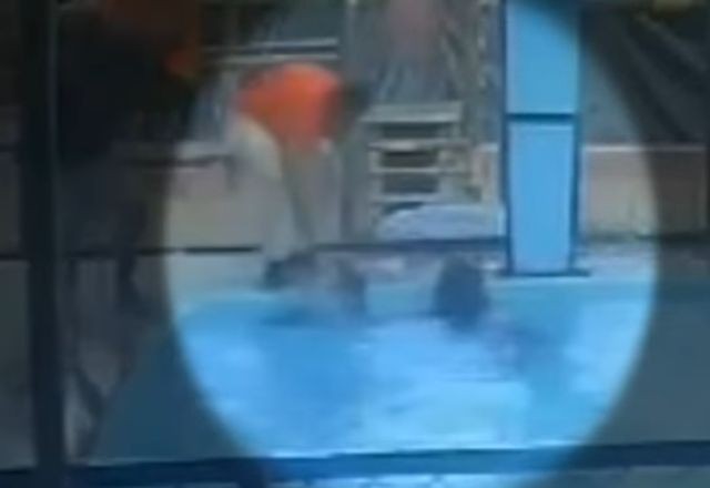 Imagem da noticia Mãe é presa após tentar afogar a própria filha de seis meses em Goiás 