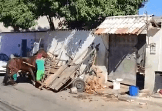 Cavalo é agredido por carroceiro na zona oeste do Rio