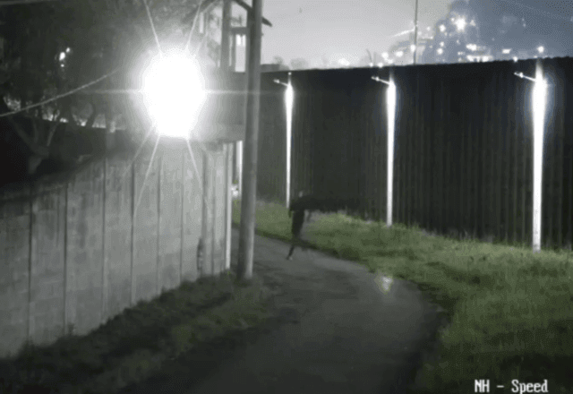 Imagem da noticia Criminosos erram alvo e tentativa de fuga é frustrada em presídio do Rio