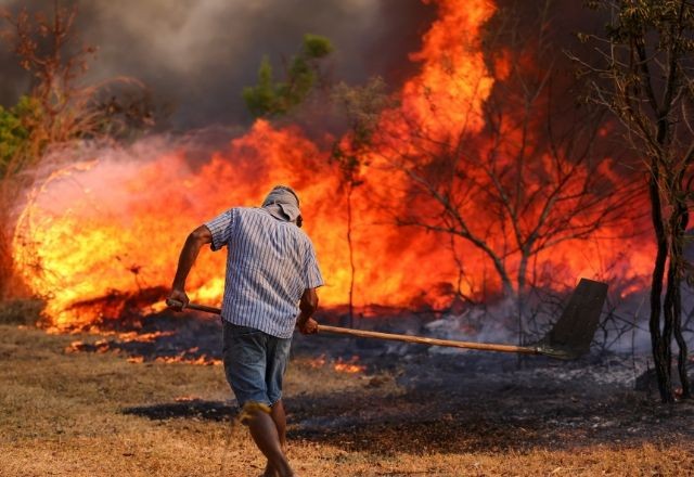 Imagem da noticia 2024 deve ser o ano com maior número de queimadas da última década