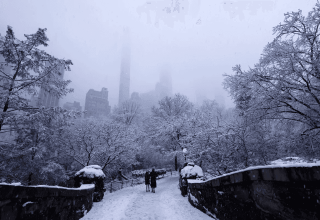 Imagem da noticia Central Park registra recorde histórico de neve no último domingo (25) 