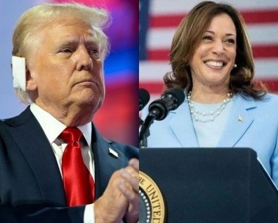 Imagem da noticia O que são os estados-pêndulo e por que eles são tão importantes nas eleições americanas?