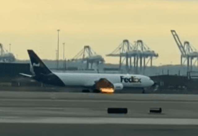 Imagem da noticia Avião faz pouso de emergência em Nova Jersey após colidir com pássaro 