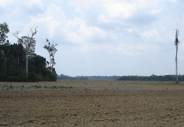 Imagem da noticia Desmatamento na Amazônia cresce 34% em maio, segundo Inpe